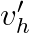 v_h'