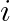 i