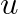 u
